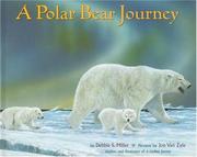 Cover of: A polar bear journey