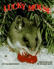 Cover of: Lucky mouse by Elizabeth Ring