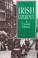 Cover of: The Irish experience