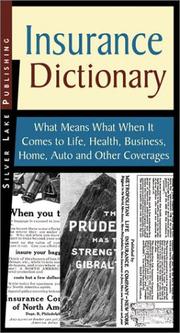 Cover of: The Silver Lake Publishing Insurance Dictionary What Means What When It Comes To