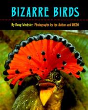 Cover of: Bizarre Birds