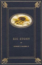 Cover of: Big Stony by 