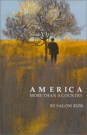 Cover of: America, more than a country