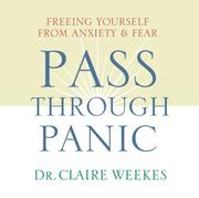 Cover of: Pass Through Panic: Freeing Yourself from Anxiety and Fear