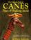 Cover of: The fantastic book of canes, pipes and walking sticks