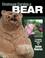 Cover of: Chainsaw Carving a Bear