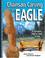 Cover of: Chainsaw carving an eagle