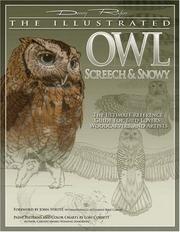 Cover of: The Illustrated Owl: Screech & Snowy: The Ultimate Reference Guide for Bird Lovers, Woodcarvers, and Artists (The Denny Rogers Visual Reference series)