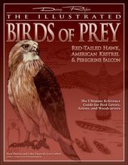 Cover of: The Illustrated Birds of Prey: Red-Tailed Hawk, American Kestrel & Peregrine Falcon: The Ultimate Reference Guide for Bird Lovers, Artists, and Woodcarvers (The Denny Rogers Visual Reference series)