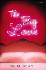 Cover of: The big love by Sarah Dunn