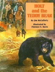 Cover of: Holt and the Teddy Bear by Jim McCafferty