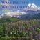 Cover of: Washington wildflowers