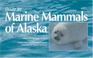 Cover of: Guide to Marine Mammals of Alaska