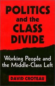 Cover of: Politics and the class divide: working people and the middle-class left