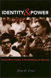 Identity and power by José E. Cruz