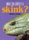 Cover of: What on earth is a skink?