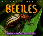 Cover of: Nature Close-Up - Beetles (Nature Close-Up)