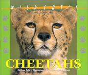 Cover of: Wildcats of the World - Cheetahs (Wildcats of the World)