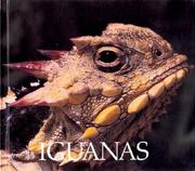 Cover of: Iguanas