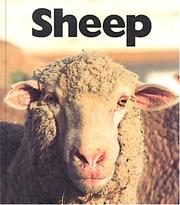 Cover of: Sheep by Murray, Peter