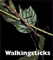 Cover of: Walkingsticks by Patrick Merrick