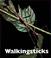 Cover of: Walkingsticks