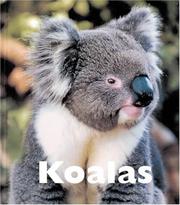 Cover of: Koalas | Sandra Lee