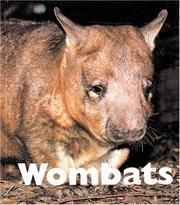 Cover of: Wombats