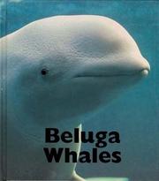 beluga-whales-cover