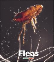 Cover of: Fleas by Kathryn Stevens