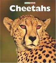 Cheetahs