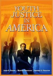 Cover of: Youth Justice In America