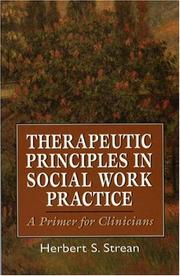 Cover of: Therapeutic principles in social work practice: a primer for clinicians