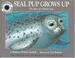 Cover of: Seal Pup grows up