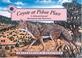 Cover of: Coyote at Piñon Place