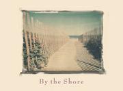 Cover of: By the Shore Boxed Notecards