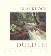 Cover of: The Duluth portfolio by Craig Blacklock