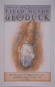 Cover of: Field guide to the geoduck