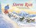 Cover of: Storm Run