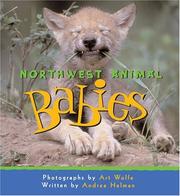 Cover of: Northwest Animal Babies