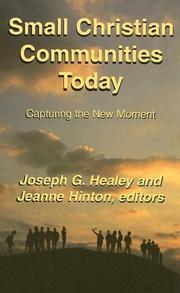 Cover of: Small Christian Communities Today: Capturing the New Moment