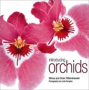 Cover of: Introducing Orchids