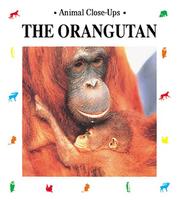 Cover of: The Orangutan by Christine Sourd