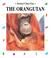 Cover of: The Orangutan