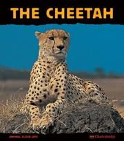 Cover of: The Cheetah: Fast as Lightning (Animal Close-Ups) (Animal Close-Ups)