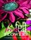 Cover of: Fresh Felt Flowers