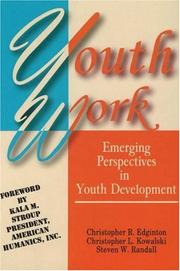 Cover of: Youth Work: Emerging Perspectives in Youth Development