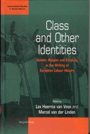 Cover of: Class and Other Identities: Gender, Religion, and Ethnicity in the Writing of European Labor History (International Studies in Social History)