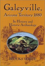 Galeyville, Arizona Territory 1880 by Brooks White