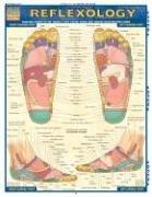 Cover of: Reflexology (Quickstudy: Academic) by 